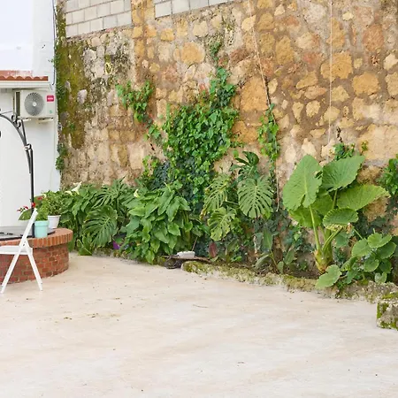 Pet-friendly Feriehus