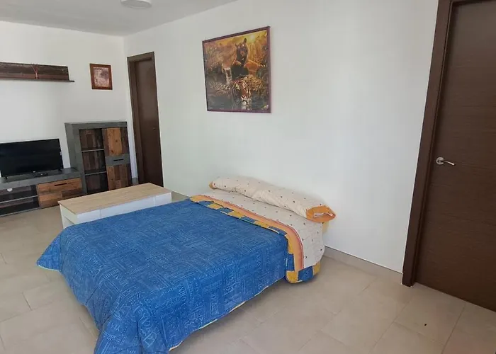 Pet-friendly Feriehus